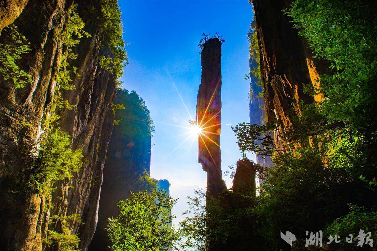 同花娱乐